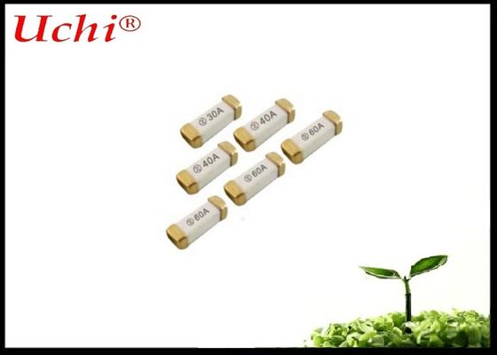 Quick Acting Ceramic Fuse 2A 250V